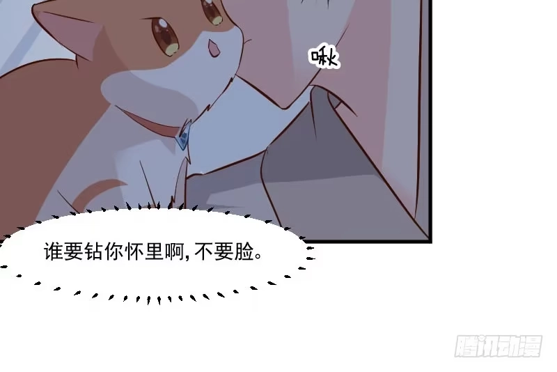 《救命，我的男票是妖怪！》第42话 小辰回来了 第10页