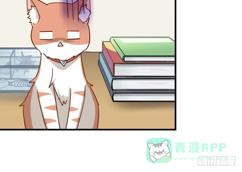 《救命，我的男票是妖怪！》第43话 在我心里你不一样 第51页