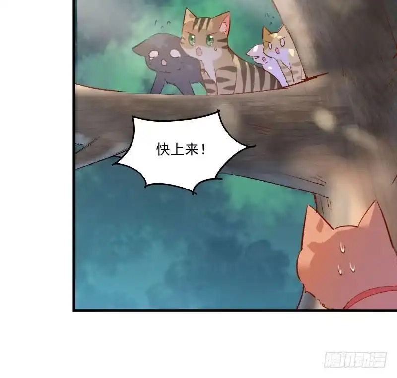 《救命，我的男票是妖怪！》第49话 又见石倩 第59页