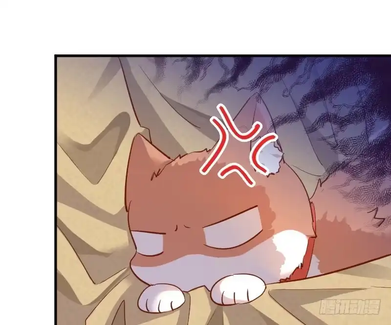 《救命，我的男票是妖怪！》第51话 我要这只猫去死 第53页
