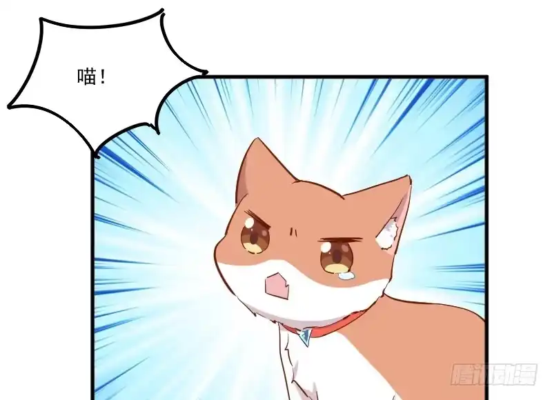 《救命，我的男票是妖怪！》第51话 我要这只猫去死 第18页