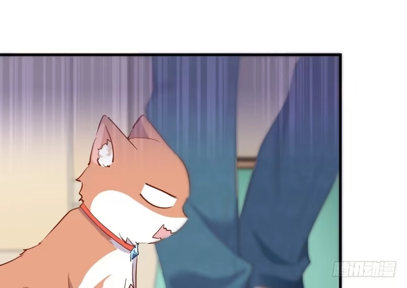 《救命，我的男票是妖怪！》第51话 我要这只猫去死 第44页