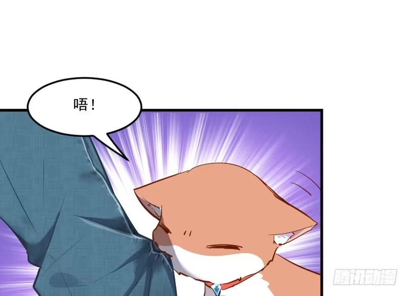 《救命，我的男票是妖怪！》第51话 我要这只猫去死 第14页