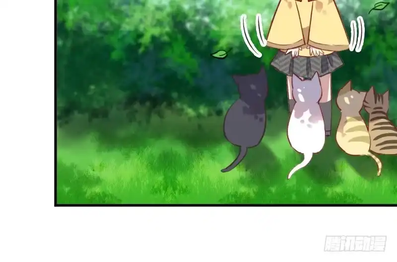 《救命，我的男票是妖怪！》第61话 被发现是猫了 第42页