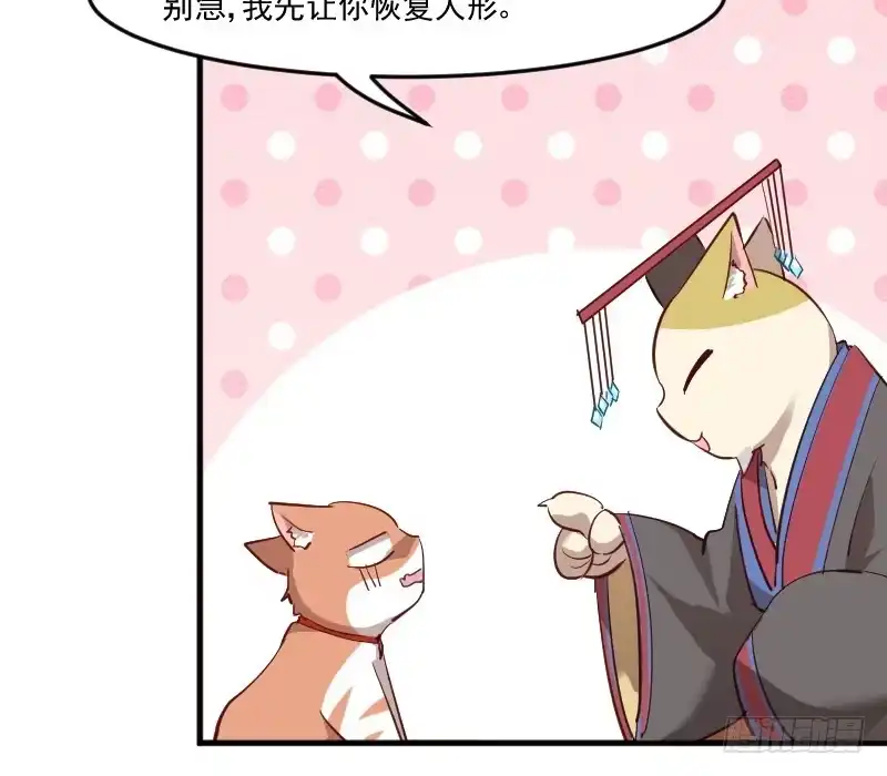 《救命，我的男票是妖怪！》第63话 你是猫妖？ 第4页