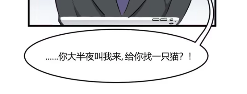 《救命，我的男票是妖怪！》第7话 这猫好帅 第23页