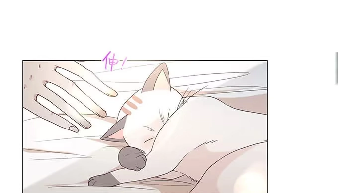《就算你是丑八怪》第十七话 第19页