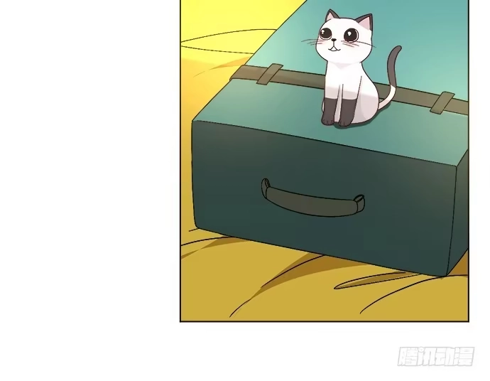 《就算你是丑八怪》第三十六话 第64页