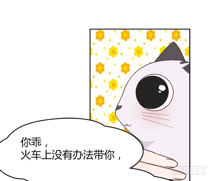 《就算你是丑八怪》第三十六话 第67页