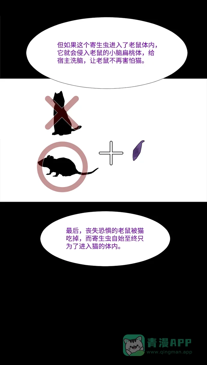 《极夜》第36话 第45页