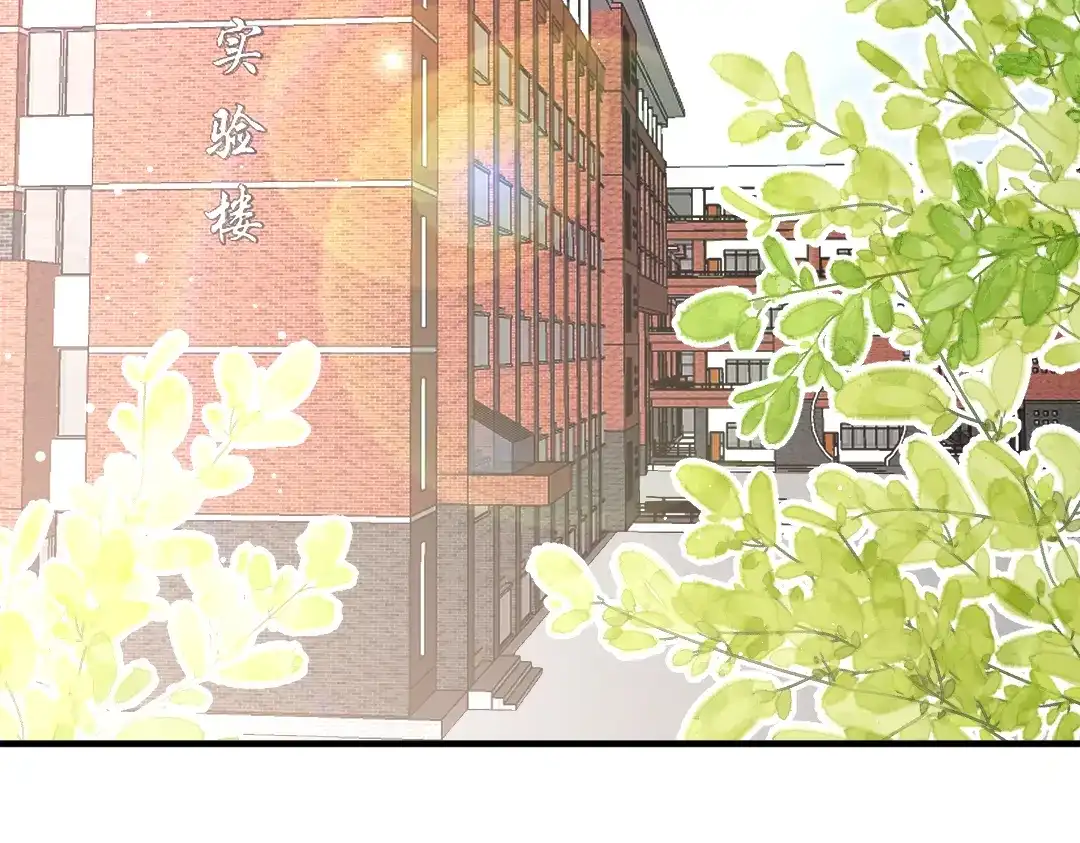 《纪总的娇妻又凶又野》10 改造 第6页