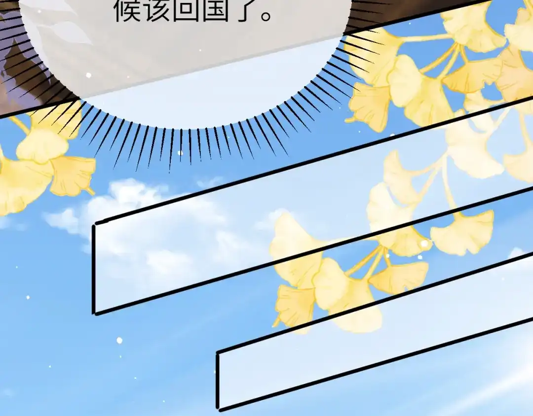 《纪总的娇妻又凶又野》31 综艺 第24页