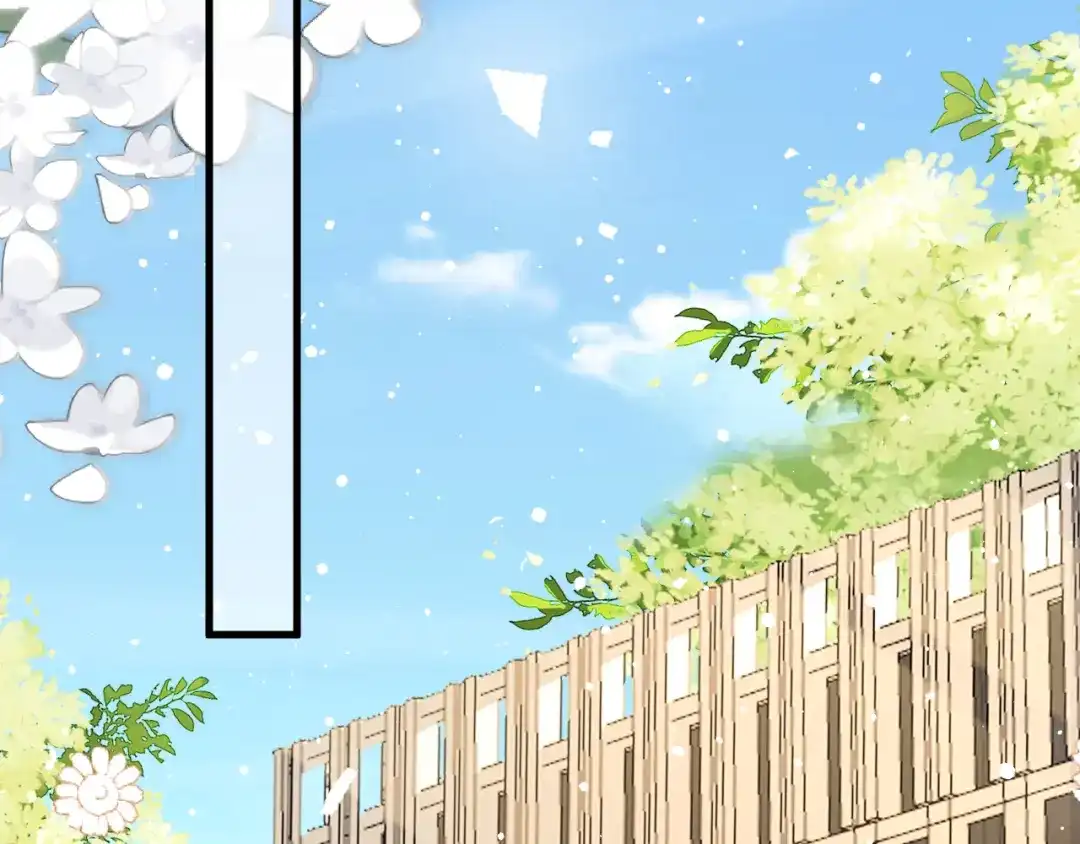 《纪总的娇妻又凶又野》31 综艺 第44页