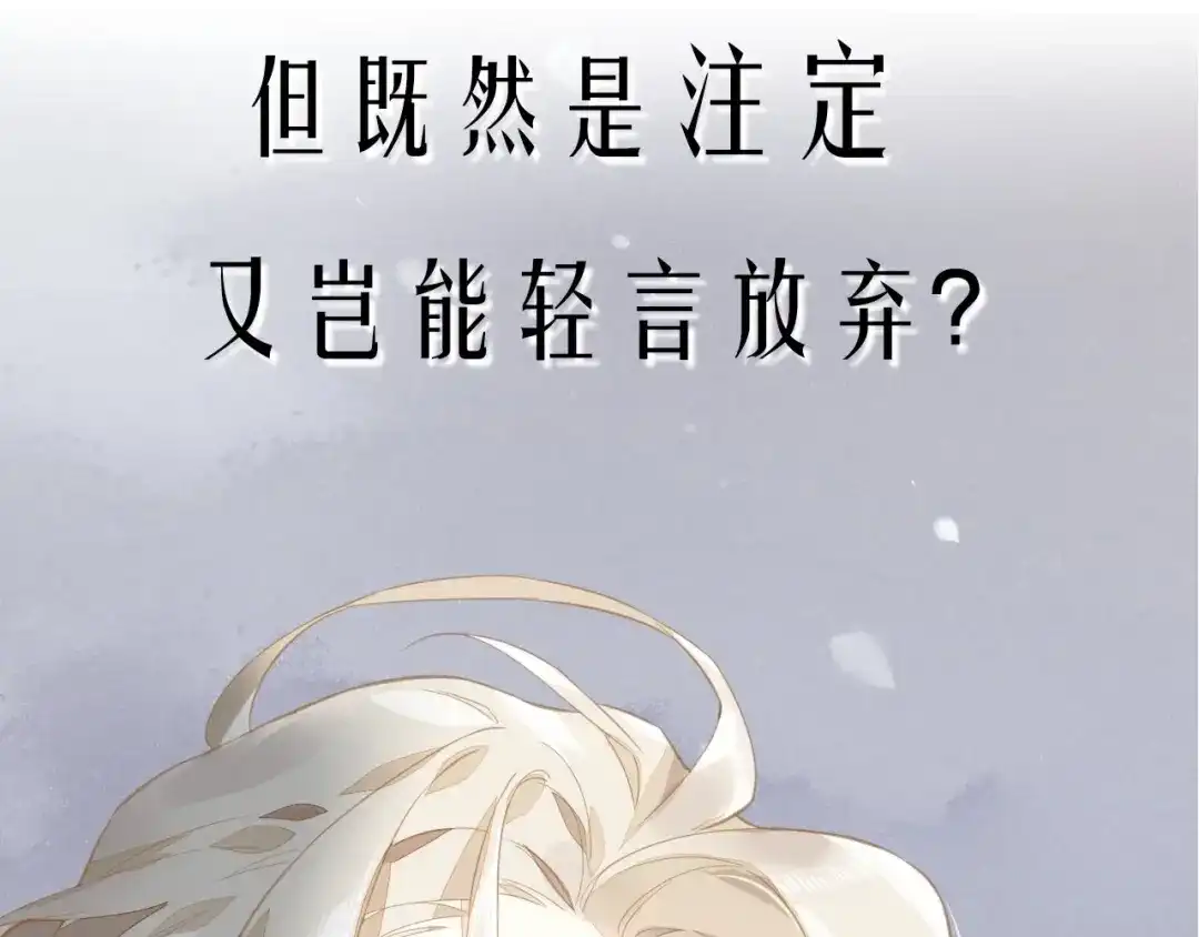 卷云练 新作序章 回到黎明前 第15页