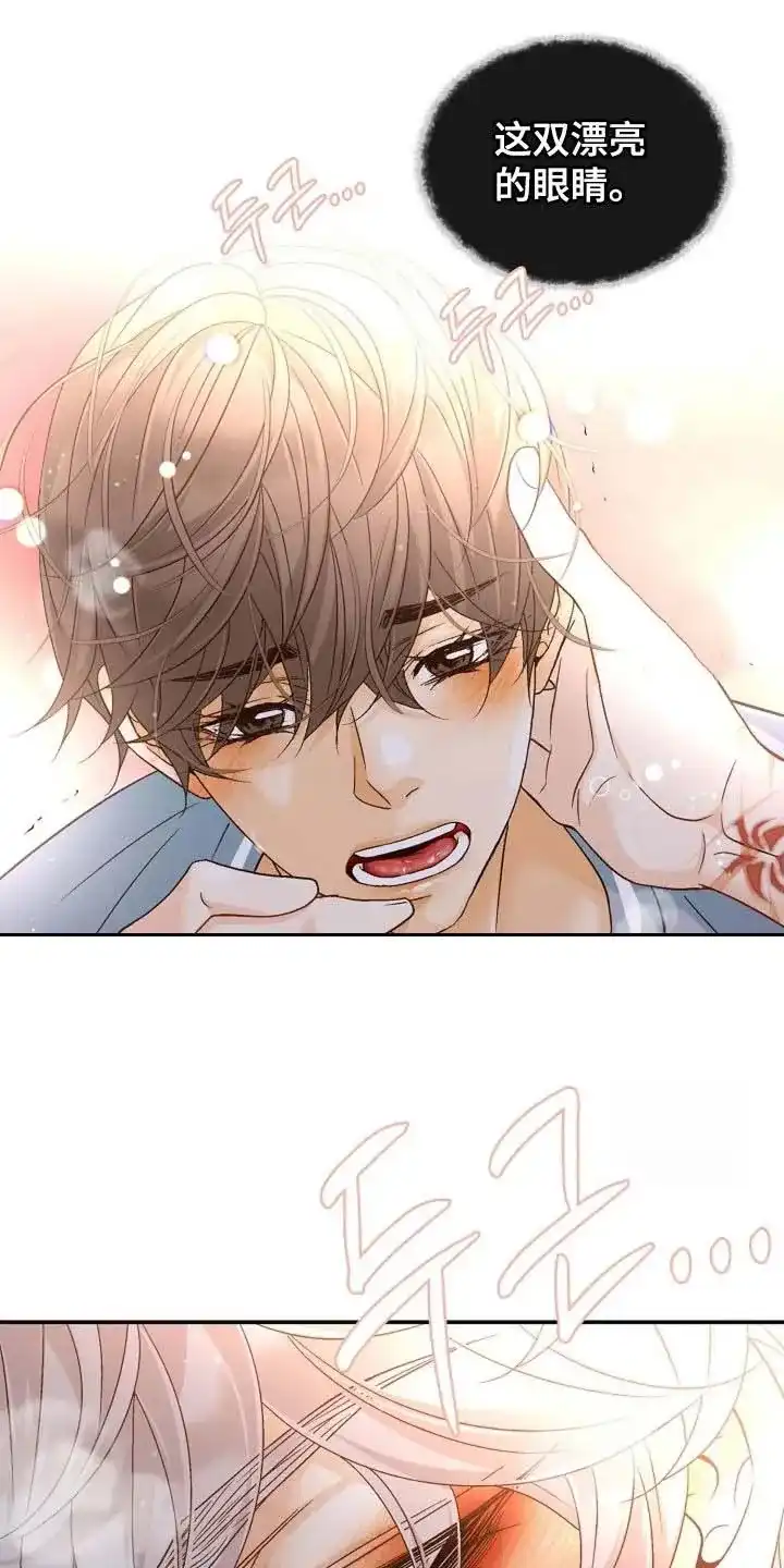 《剧毒纽带》第58话 第19页