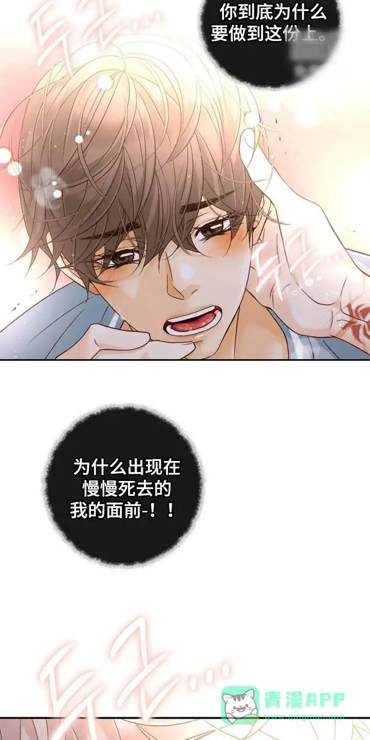 《剧毒纽带》第59话 第11页