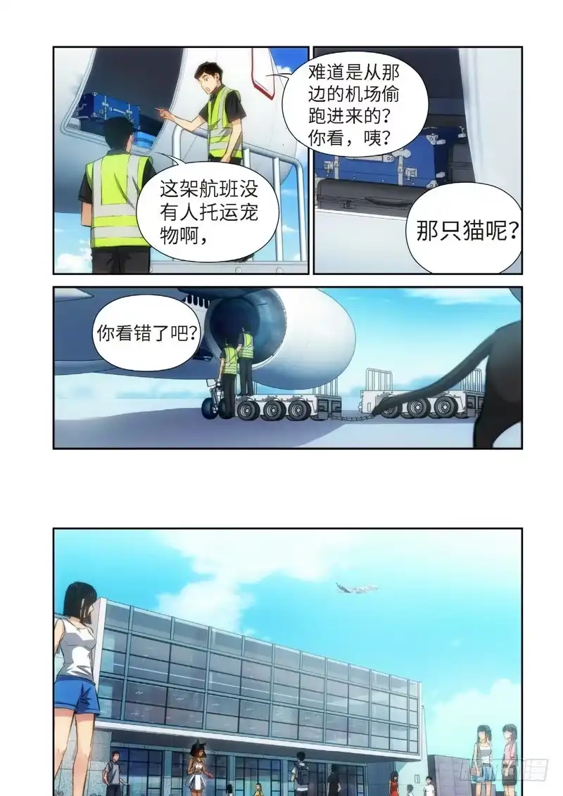 《绝地天通·灰》81.猫来了（01） 第2页
