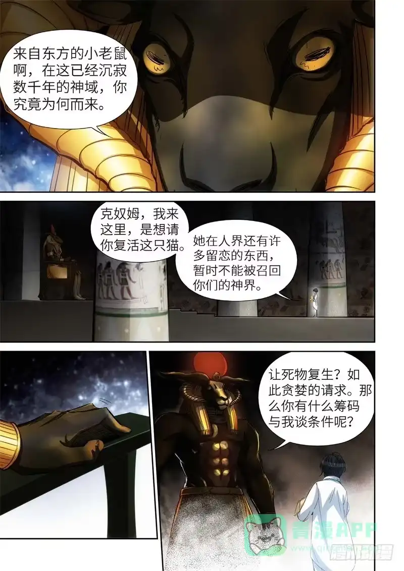 《绝地天通·灰》91.猫来了（11） 第11页