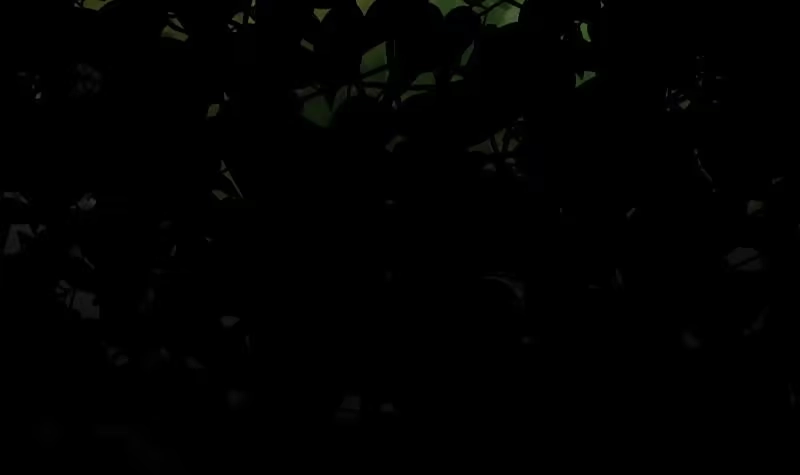 绝世剑神 第30话 犀铁牛 第13页