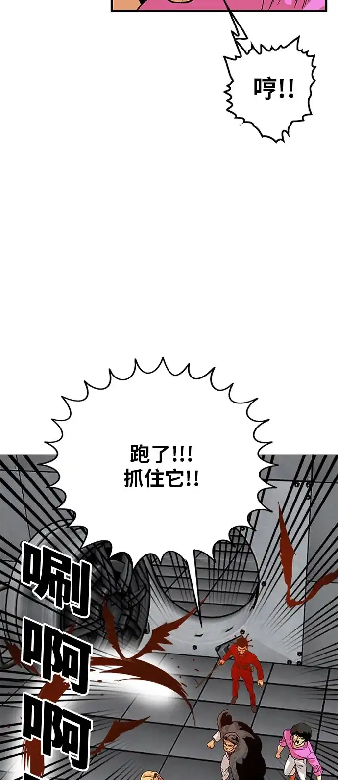 《巨魔猎手》第93话 第13页