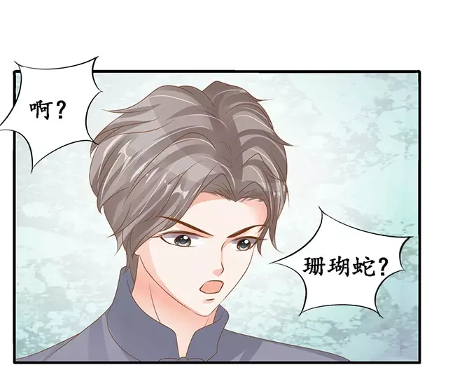 《军阀老公》第104话 第16页