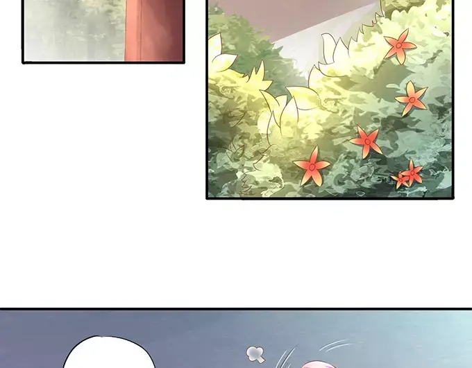 《军阀老公》第111话 第5页