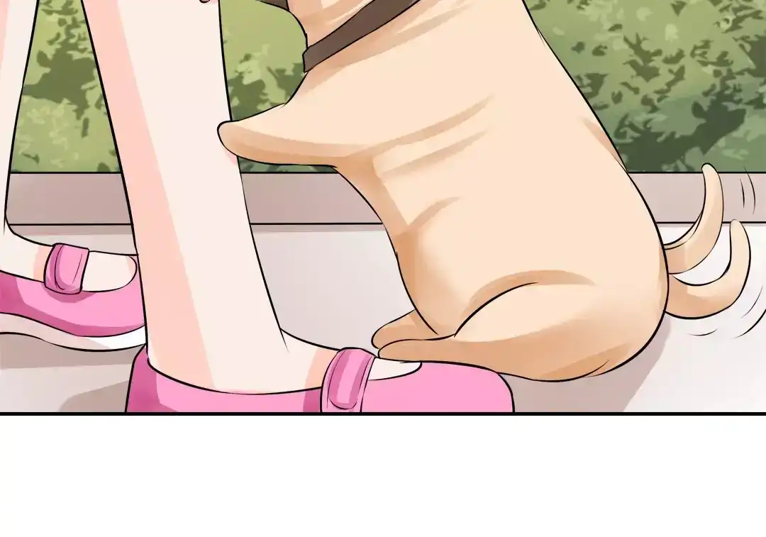 《军阀老公》第63话 第56页
