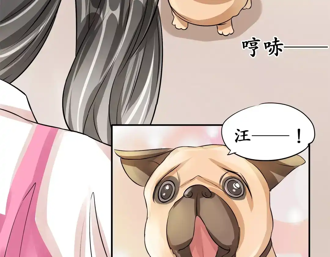 《军阀老公》第63话 第51页