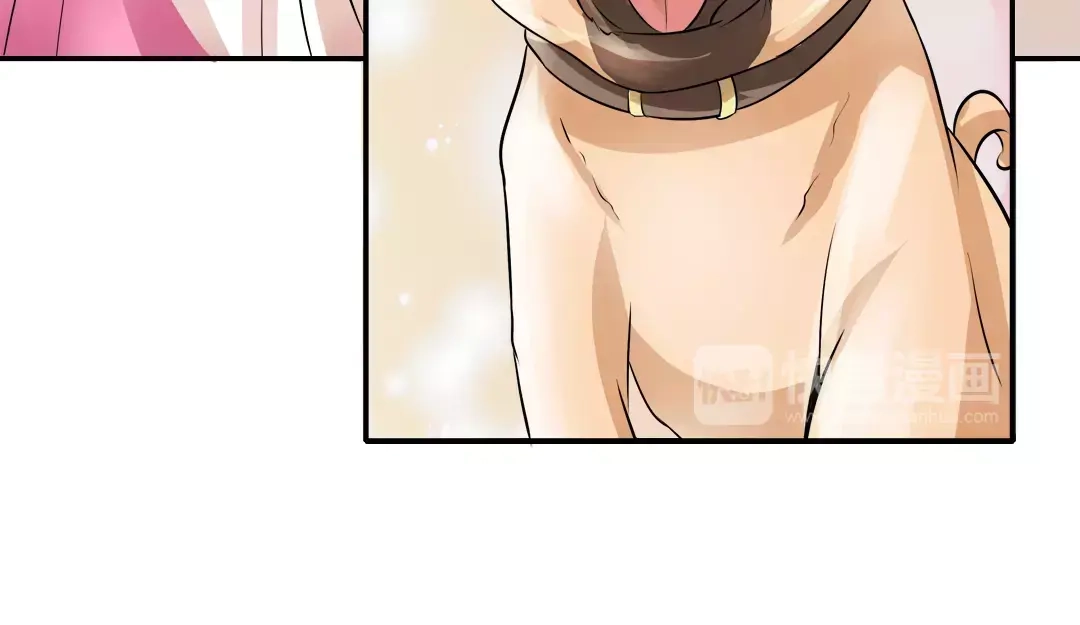 《军阀老公》第63话 第52页