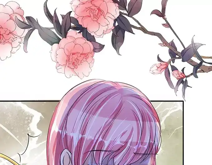 《军阀老公》第73话 第5页