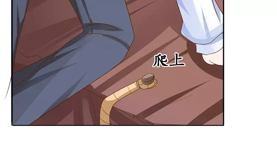 《军阀老公》第91话 第46页