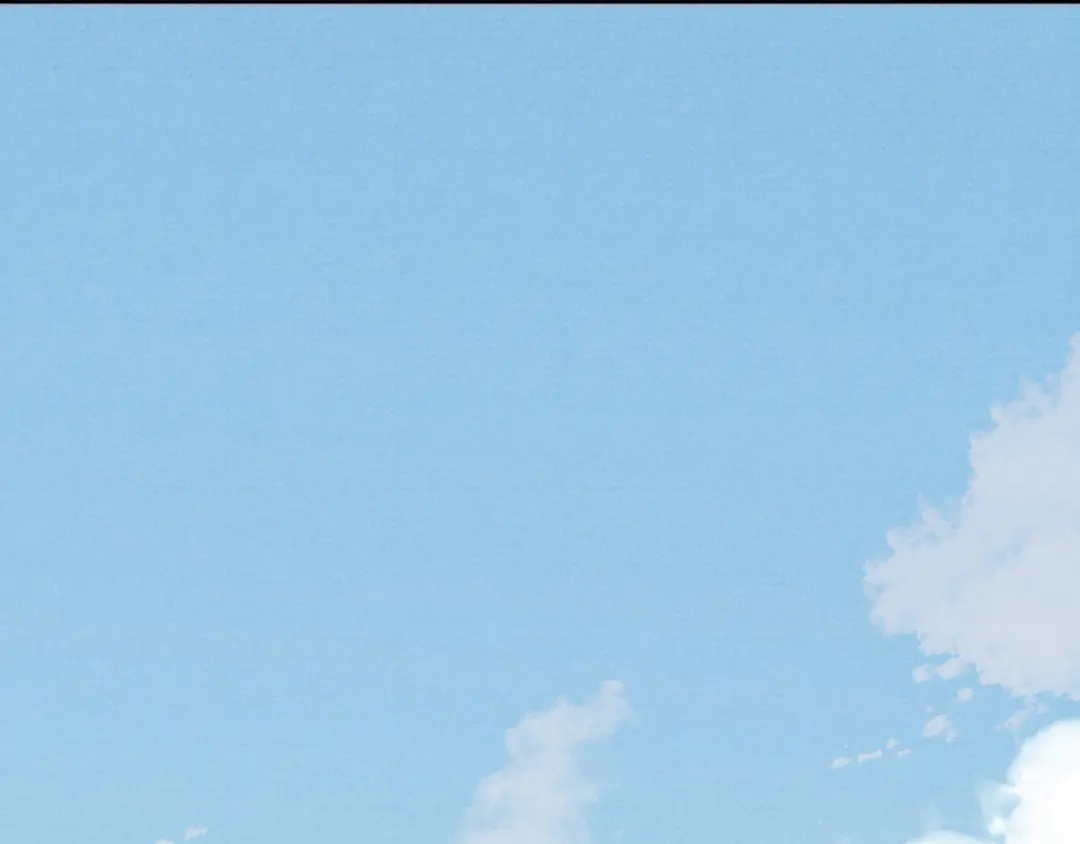 《君面似桃花》第38 阳谋 第77页