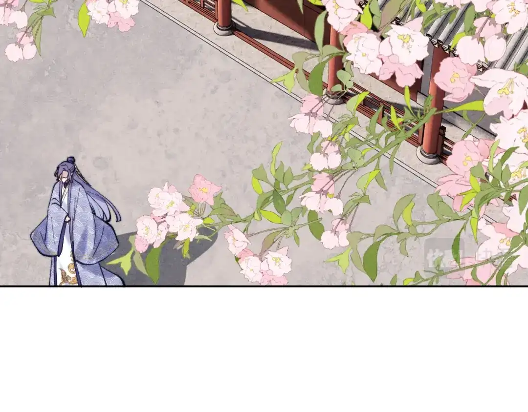 《君面似桃花》第38 阳谋 第74页
