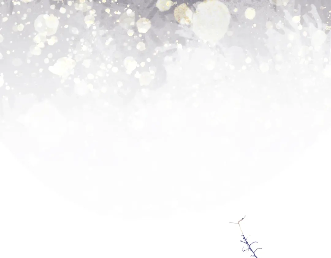 《君面似桃花》第54话 一错再错 第69页