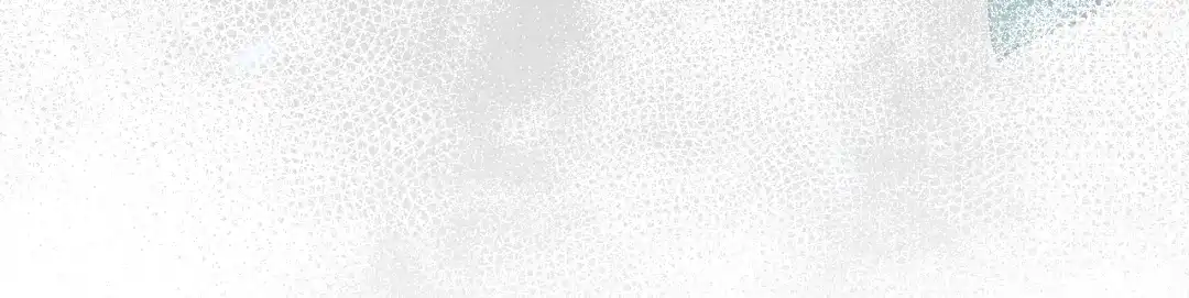 《拒做黑龙的囚爱新娘》第48话 拐走新娘？！ 第50页