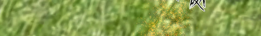 《凯洛斯山的十叶花》第33话 放心，有我在 第74页