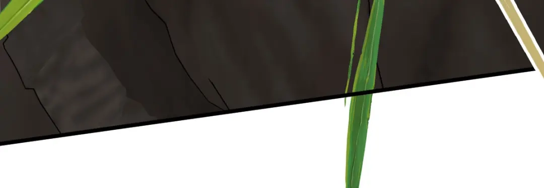 《凯洛斯山的十叶花》第33话 放心，有我在 第54页
