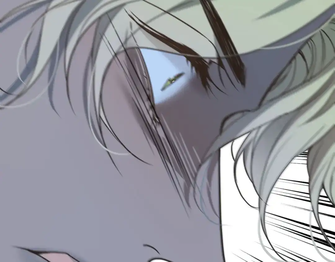 《凯洛斯山的十叶花》第53话 暗杀 第6页