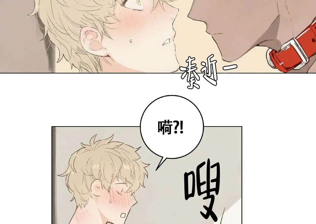 《可爱的项圈》第1话 第3页