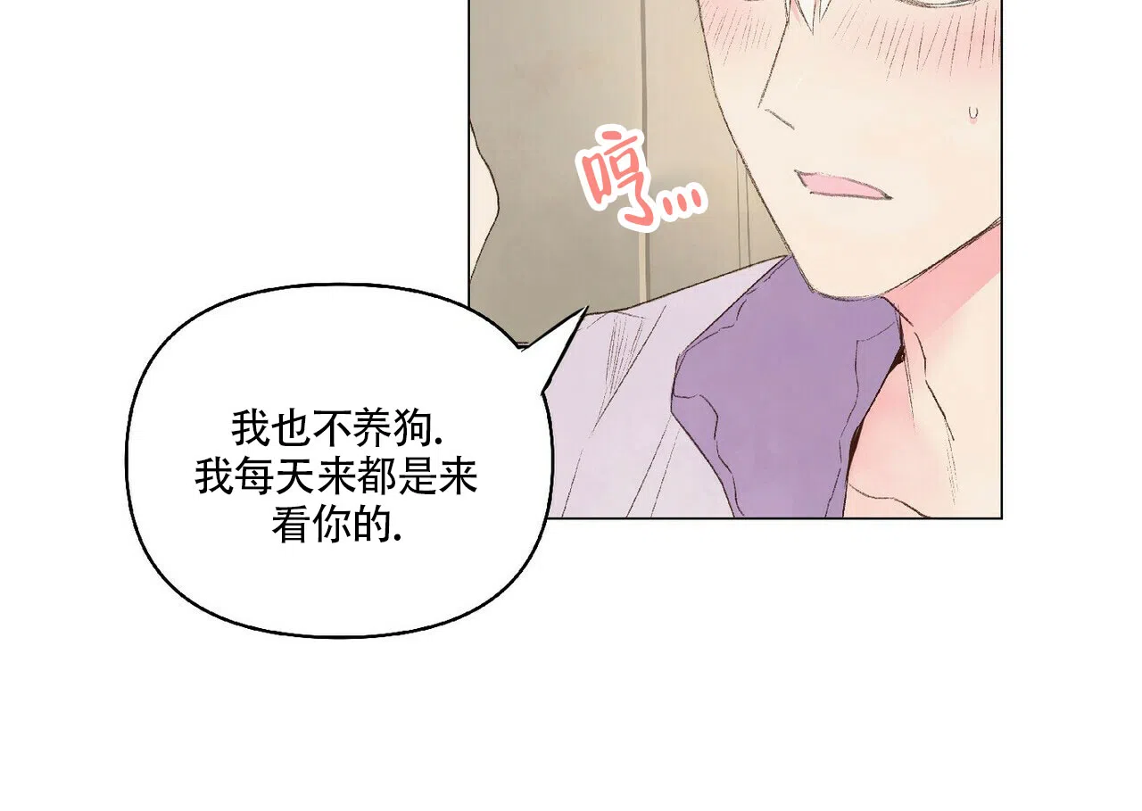 《可爱的项圈》第19话 第15页