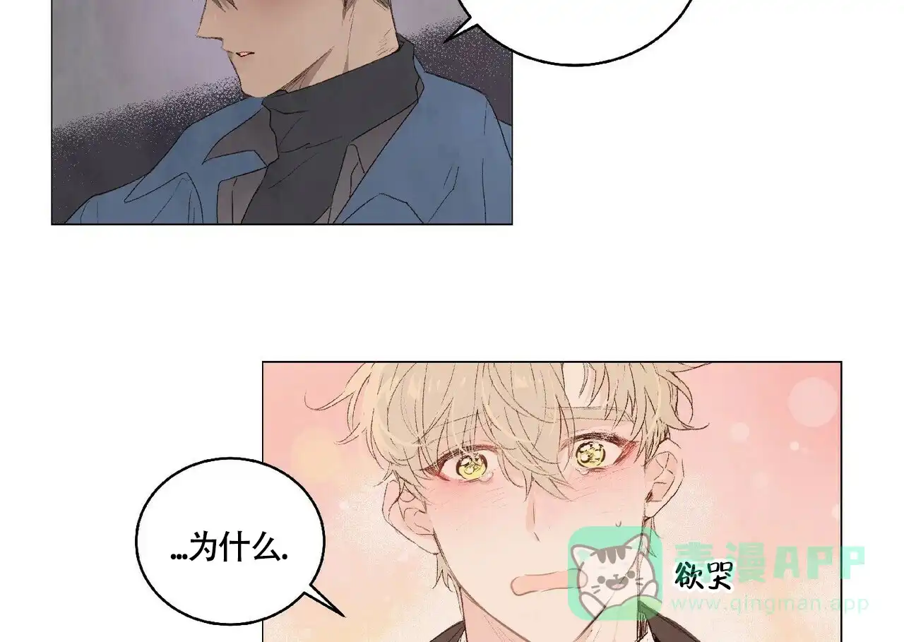 《可爱的项圈》第26话 第6页