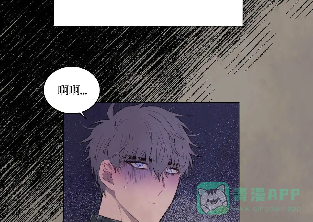 《可爱的项圈》第33话 第11页