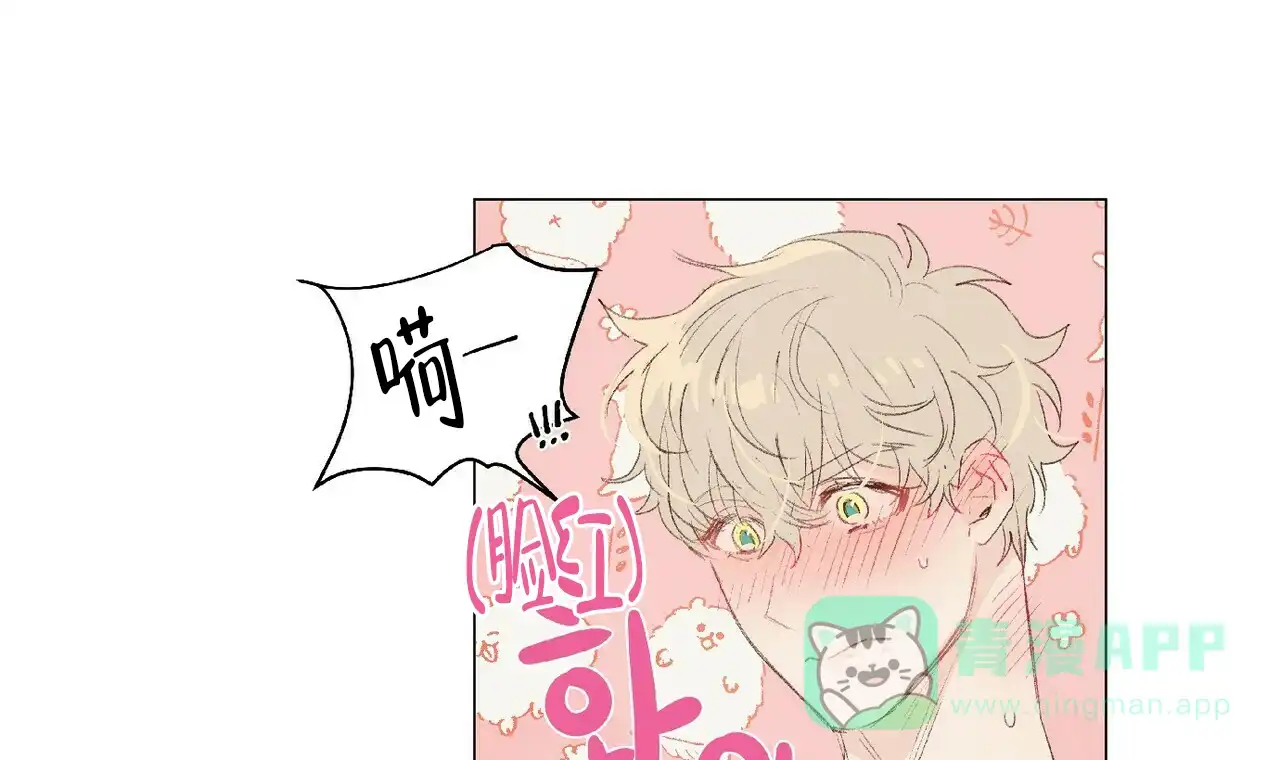 《可爱的项圈》第42话 第16页