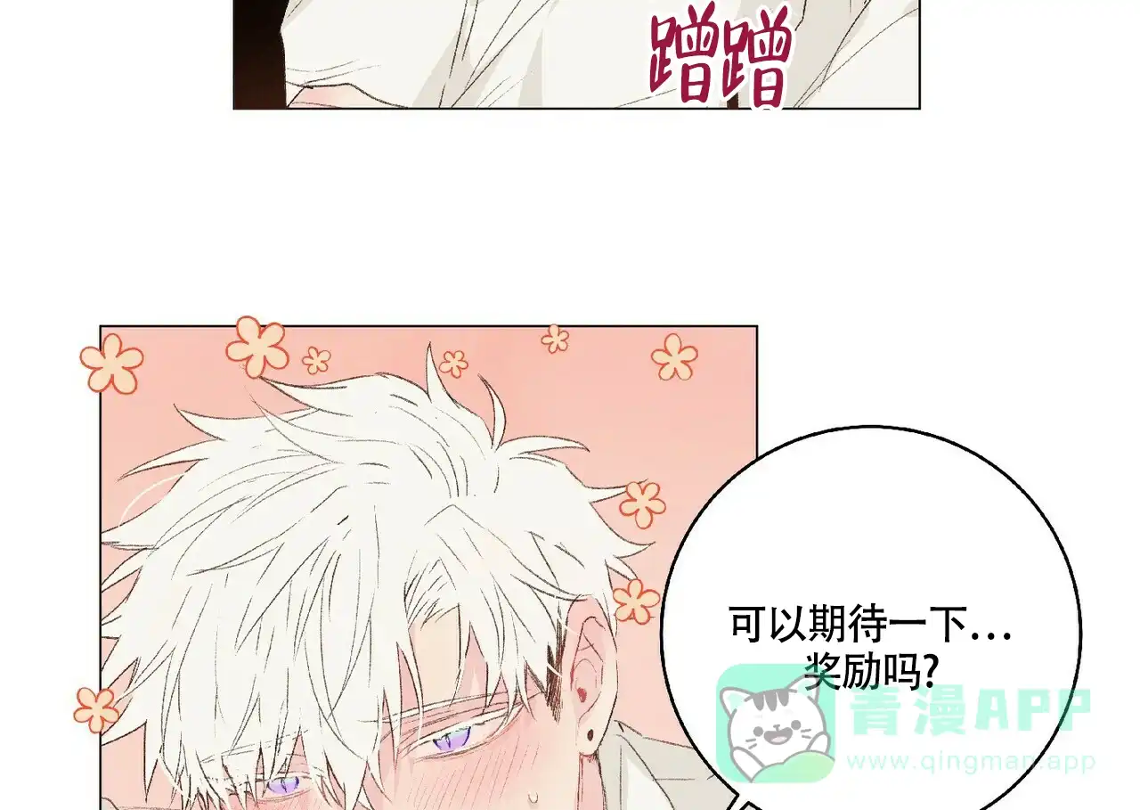 《可爱的项圈》第44话 第11页