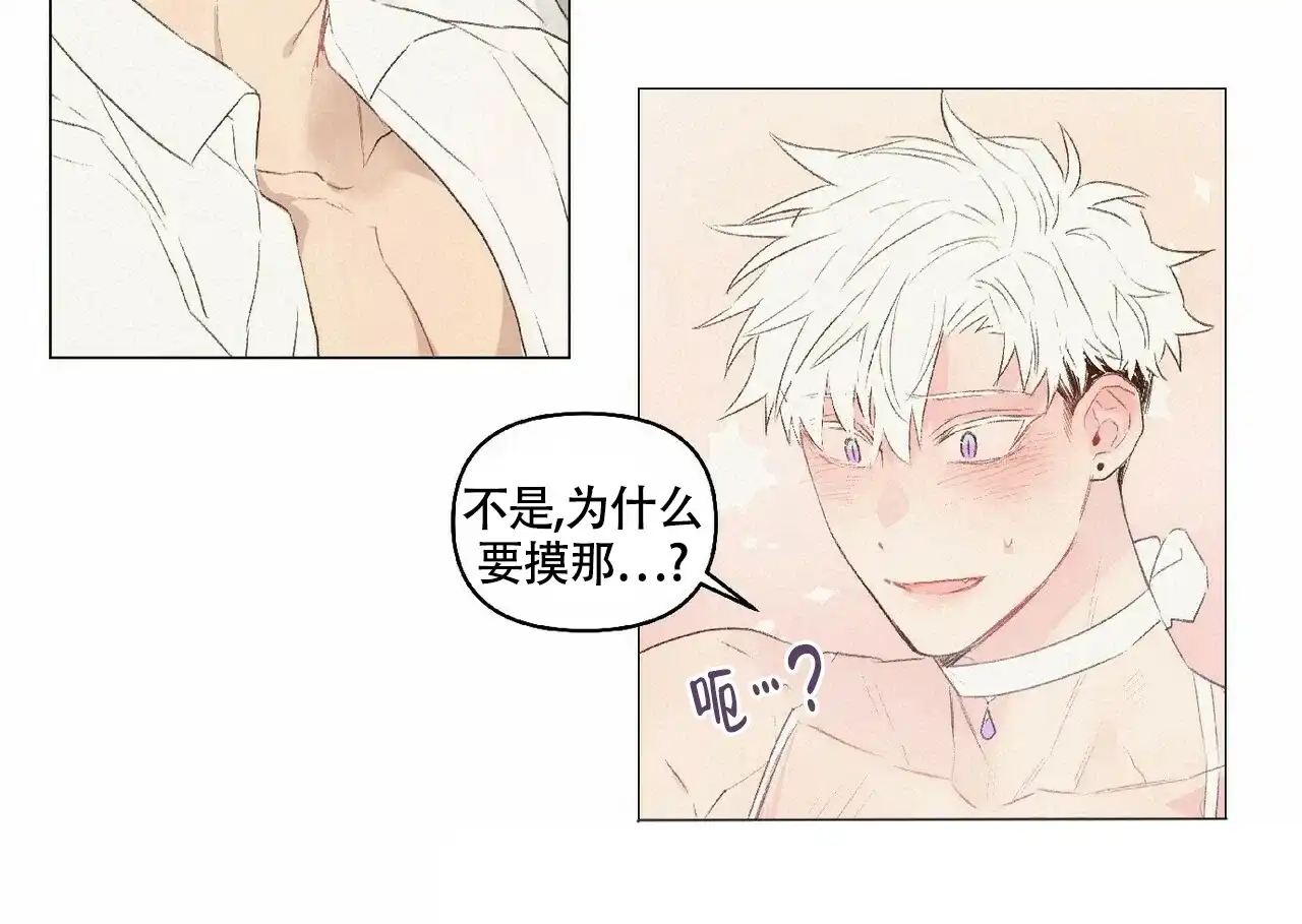 《可爱的项圈》第45话 第24页