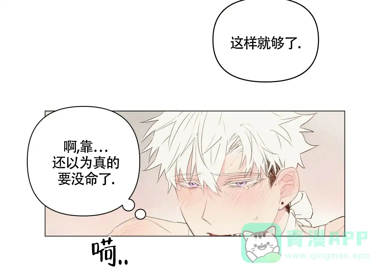 《可爱的项圈》第47话 第16页