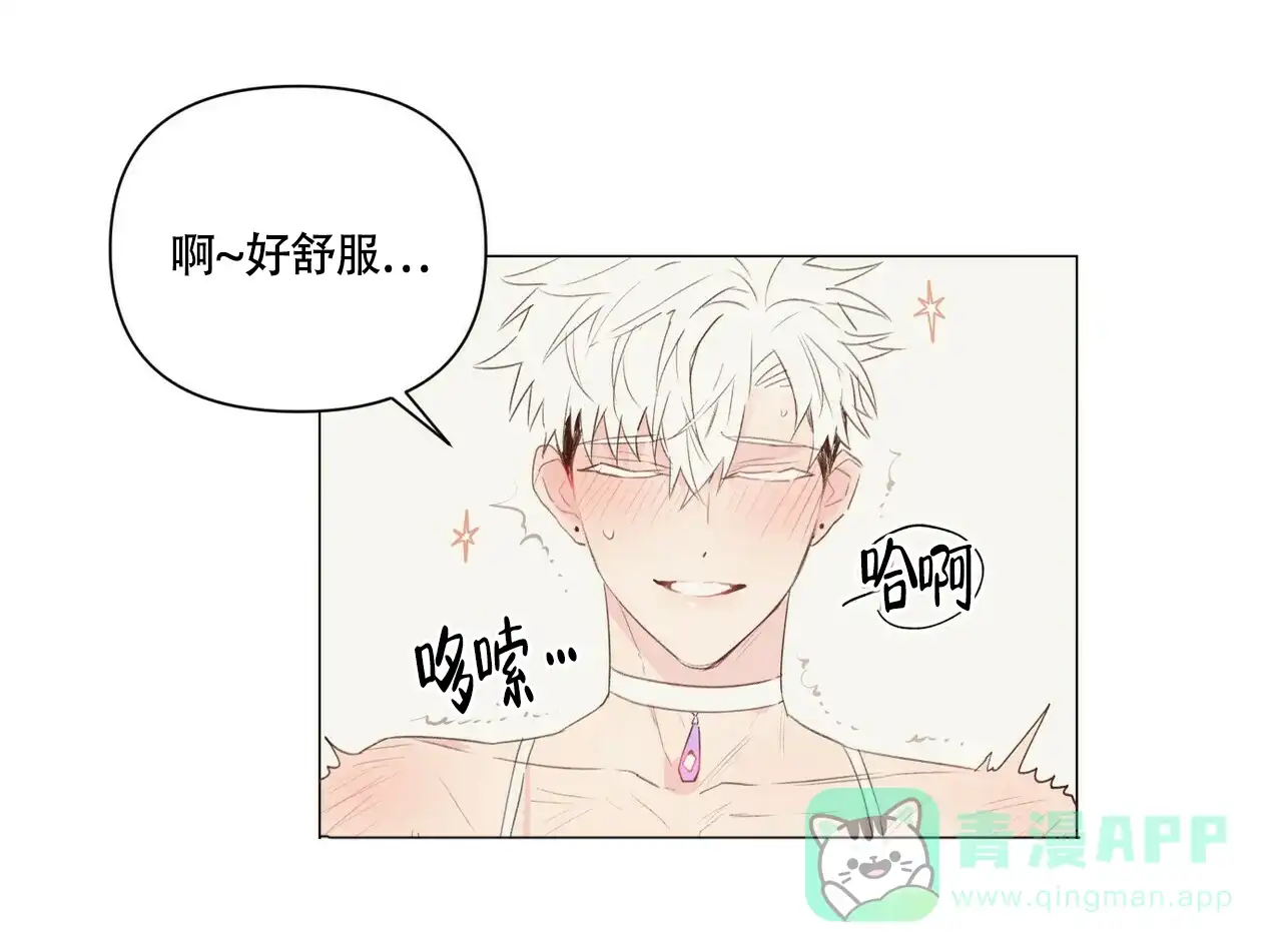 《可爱的项圈》第48话 第1页