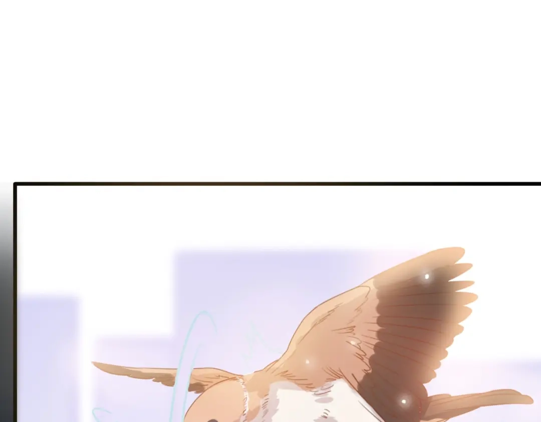 《口袋里的男朋友》第1话 我被手办绑架了！ 第40页