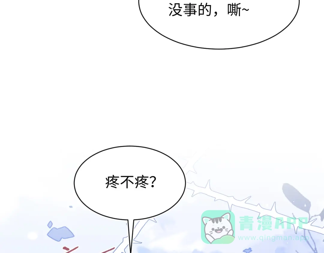 【快穿】绝美白莲在线教学 471 第86页