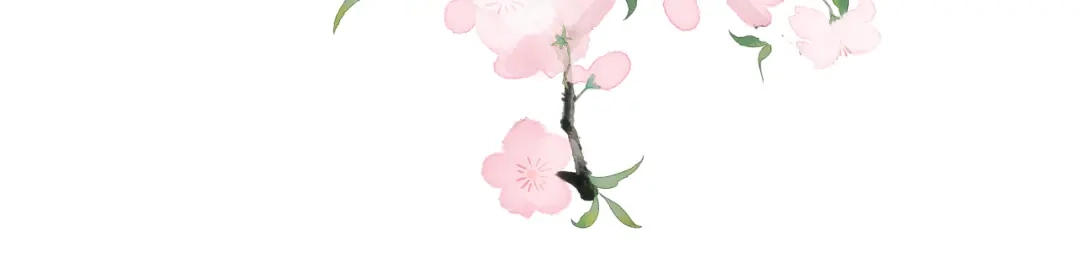 【快穿】绝美白莲在线教学 510 第60页